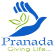 image-removebg-preview (2)